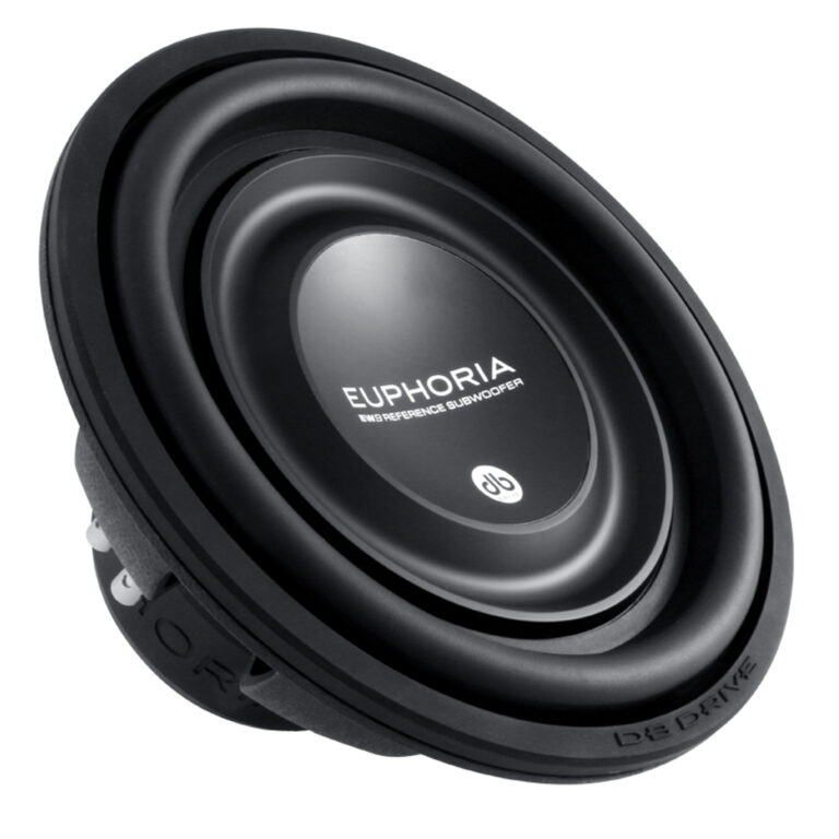 Loa Subwoofer 12in EW9 12D4