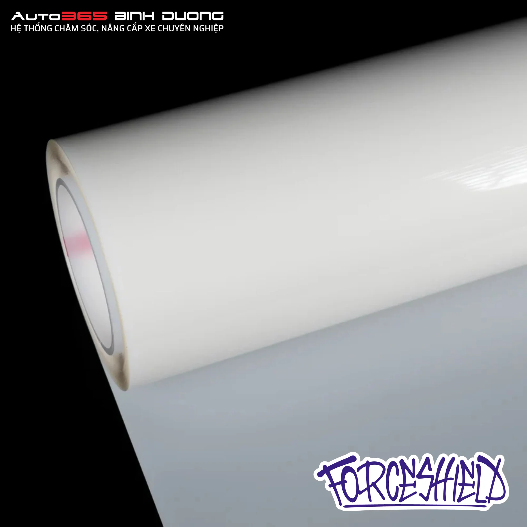 PPF STEK Forceshield